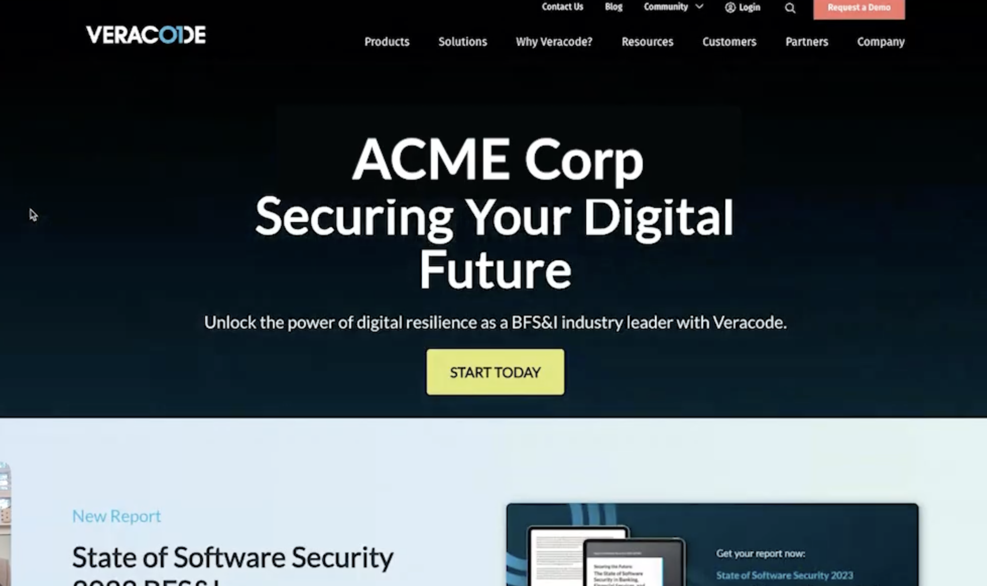 Veracode Microsite